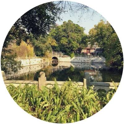 仓鼠收藏中文版游戏下载